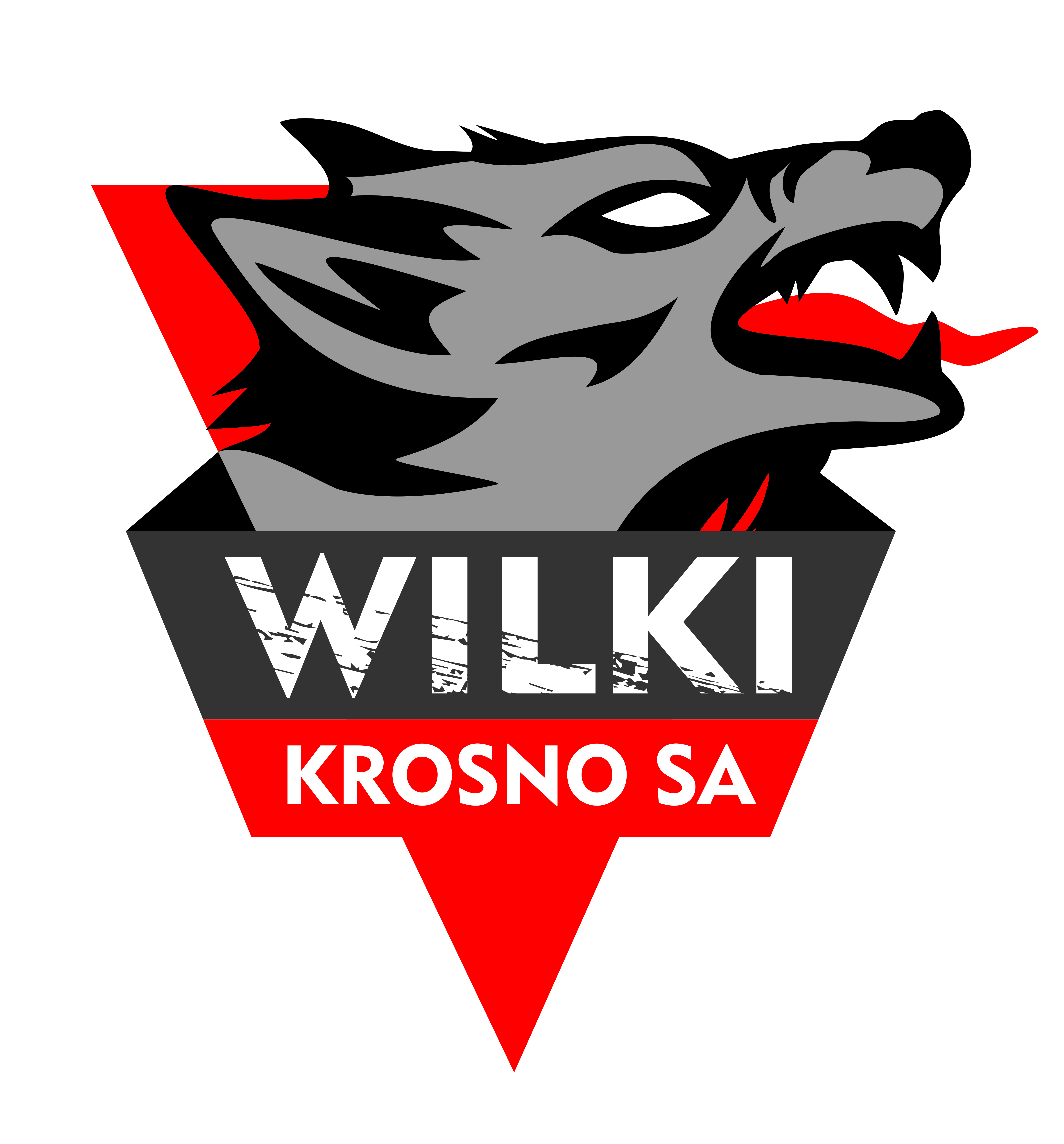 logo WILKI SA wersja biznesowa jpg