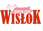 Wisłok - partner Cellfast Wilków Krosno